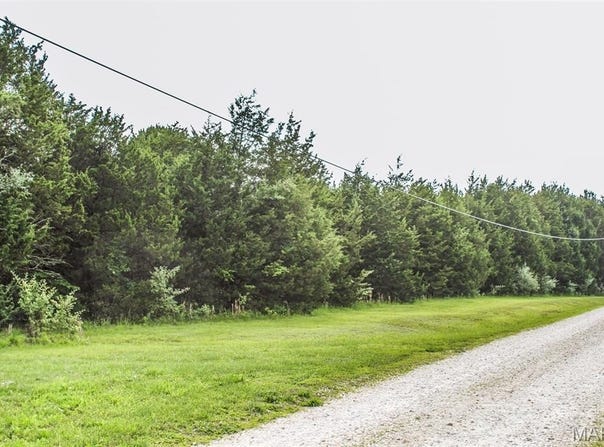 749 Lakeview Drive, Leslie, MO 63056