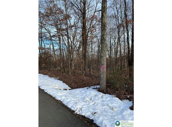 2636 Woodruff Lane, Stroud Twp, PA 18360