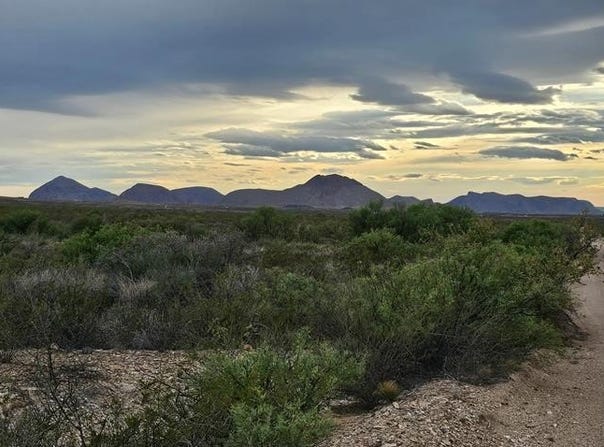 495 War Zone Rd, Terlingua, TX 79852