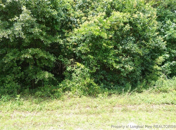 NC 41 Highway, Fairmont, NC 28340