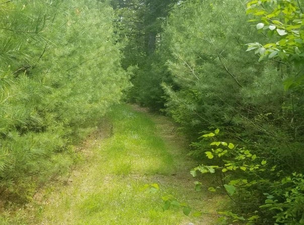 M13, L36, Harland Cunningham Road, Penobscot, ME 04476