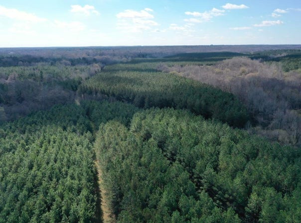 MOORE Rd, Red Banks, MS 38635