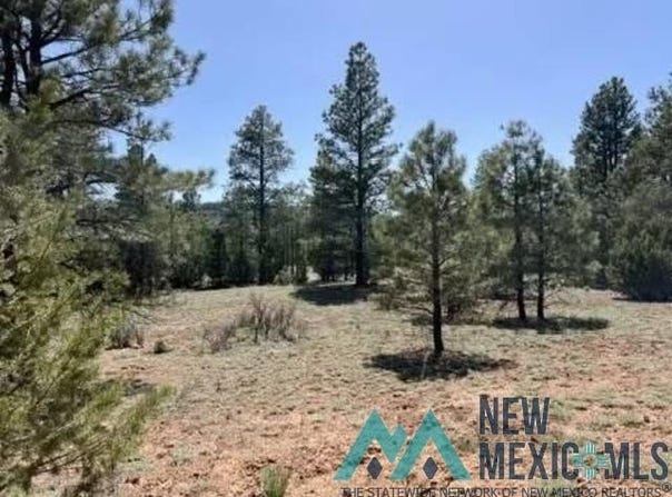 807 Timberlake Road, Ramah, NM 87321