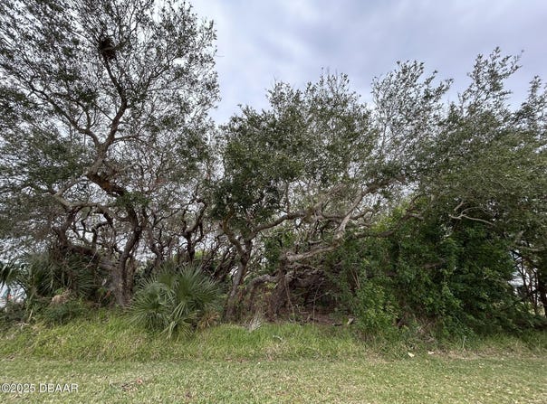 0 River Road, New Smyrna Beach, FL 32169