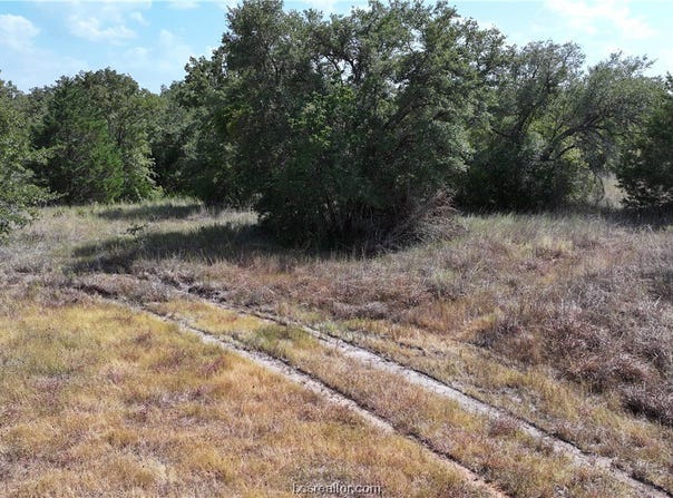 00 Sue Lane, Somerville, TX 77879