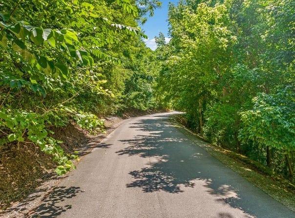 2 Shoreside Dr lot: 2, Smithville, TN 37166