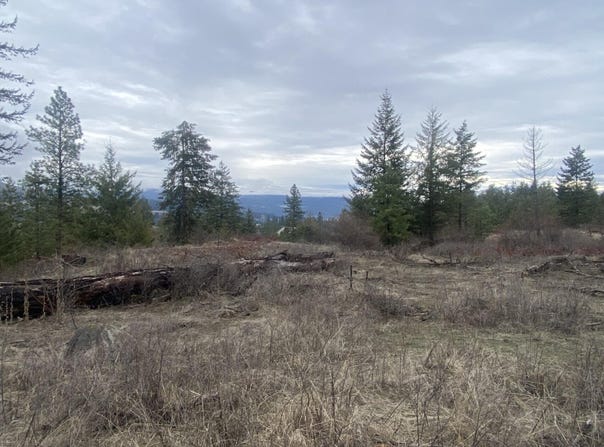 TRACT 2 COWBOYS AND ANGELS AVE, KETTLE FALLS, WA 99141