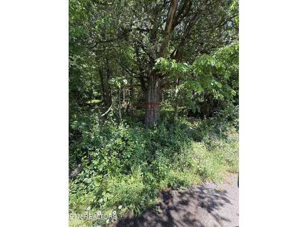 Muddy Lane, Decatur, TN 37322