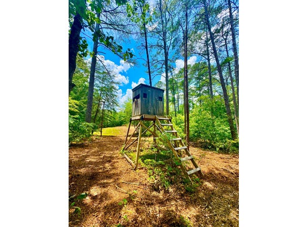 0 County Road 2, Double Springs, AL 35553