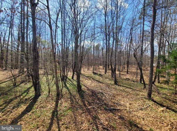 TEXAS SCHOOL RD, BUCKINGHAM, VA 23921