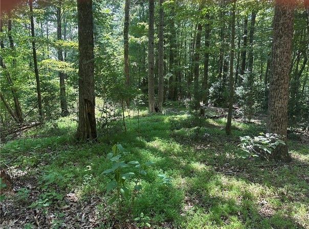 0000 Sheriffs Road, Lenoir, NC 28645