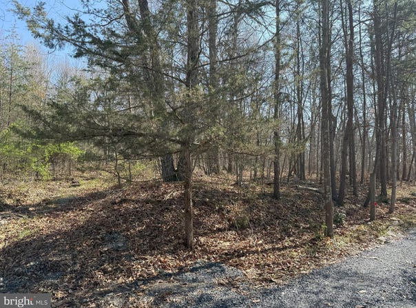 SHOTGUN SPRINGS, NEW MARKET, VA 22844