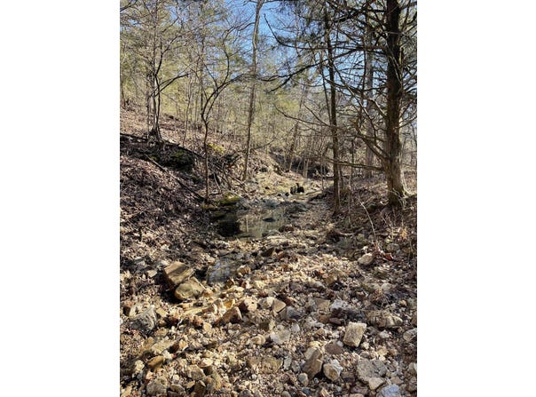 Us Hwy 160, Gainesville, MO 65655