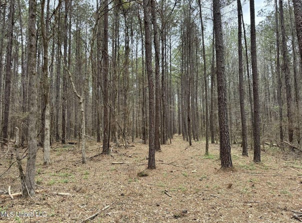 Robinson Rd, Canton, MS 39046