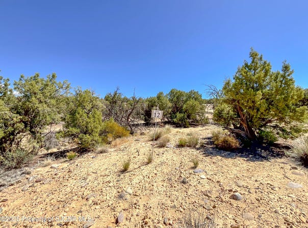 1530 VISTA HERMOSA Trail, Farmington, NM 87401