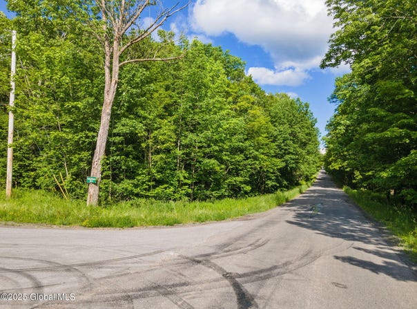 L11 Peraglie Road, Jefferson, NY 12093