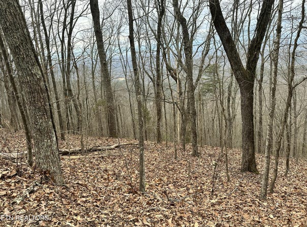 Butterfly Gap Rd, Maryville, TN 37803