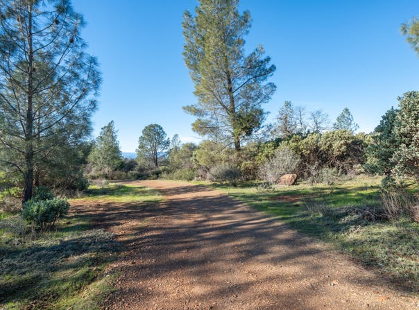 **** Western Whitehouse Way, Oak Run, CA 96069