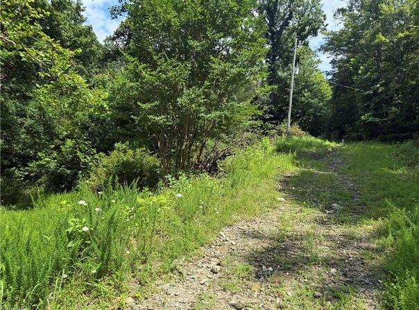 24 Copperhead Road, Cana, NC 27317