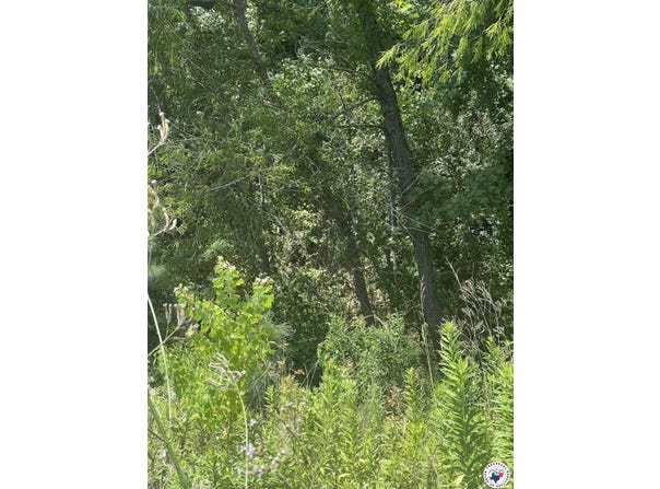 hawkins, Texarkana, TX 75503