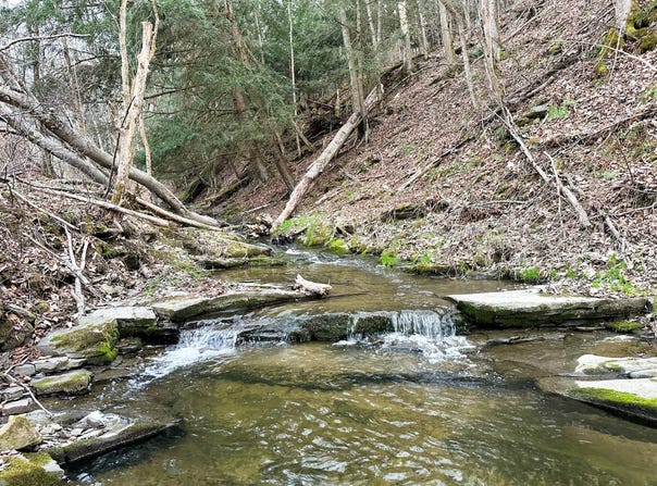 VL Lot 10  Brennan Road, Addison, NY 14801