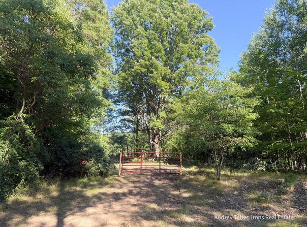 Par 4 Clements Road, Kaleva, MI 49645