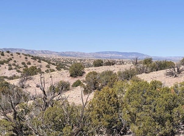 Abbe Springs lot: 124, Magdalena, NM 87825