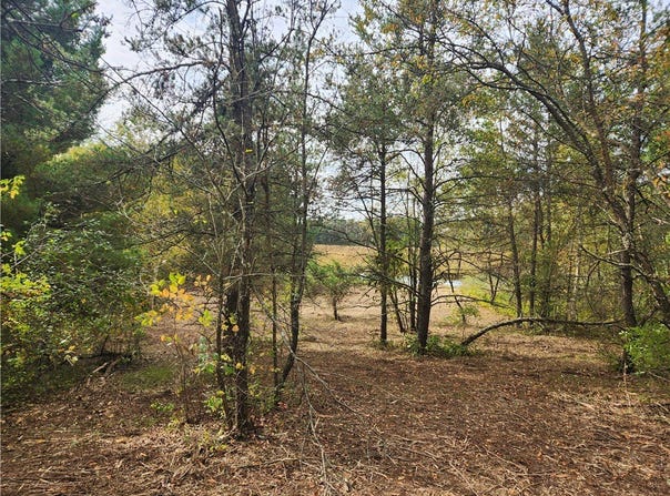 N County Road F lot: 1 & 2 Of Csm 1548, Chetek, WI 54728