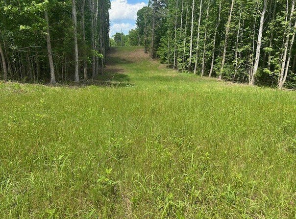 0 May Branch Rd, Cypress Inn, TN 38452