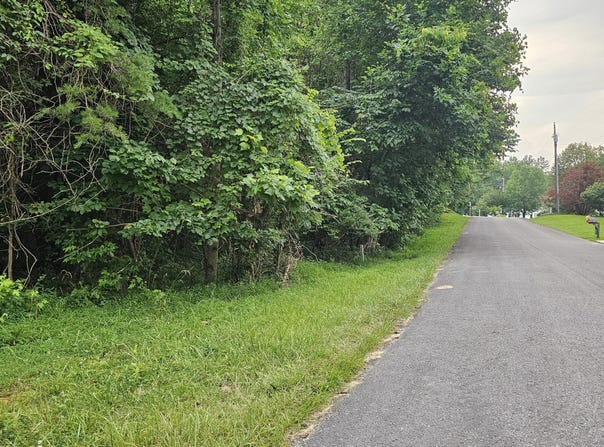 Hidden River Lane, Spencer, TN 38585