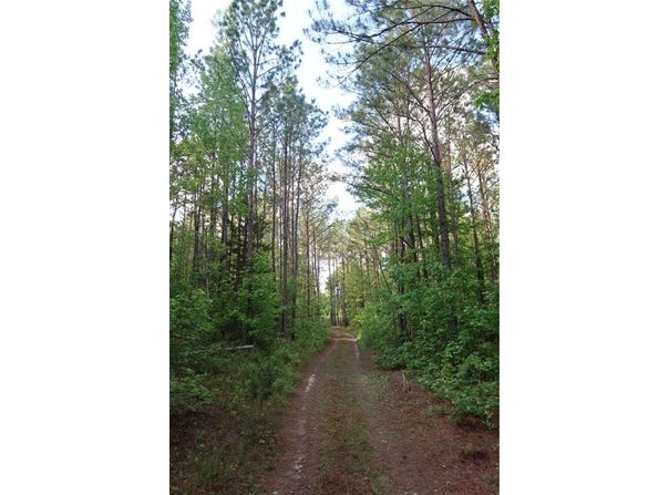 1401 Glassy Mill ROAD, AUBURN, AL 36830
