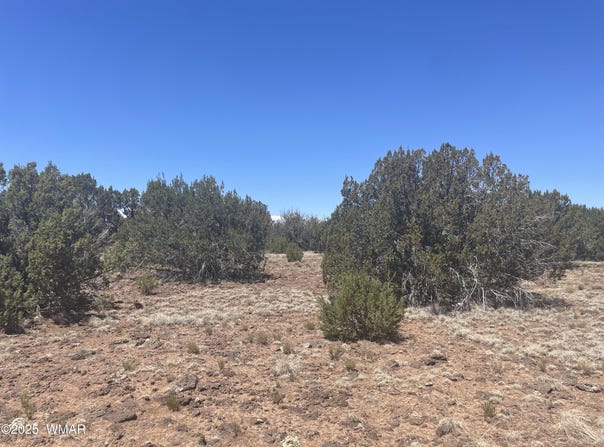 148 Alaska Avenue, Concho, AZ 85924