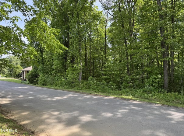 Lt 6 Parrish Drive, Greeneville, TN 37743