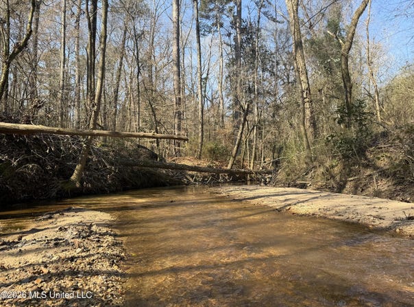 Railroad Lane, Pinola, MS 39149