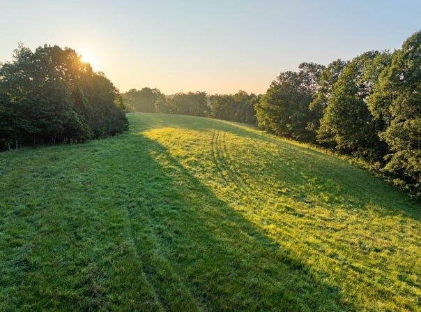 10285 Dozer Ridge Rd-Tract 3, Blue Rock, OH 43720