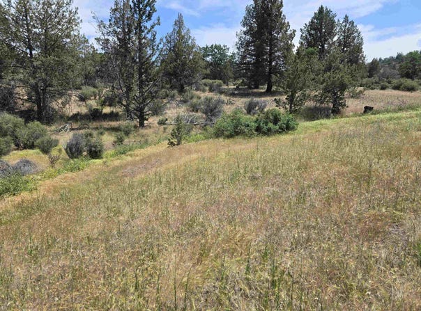lot 298 Eel drive, Hornbrook, CA 96064-0000