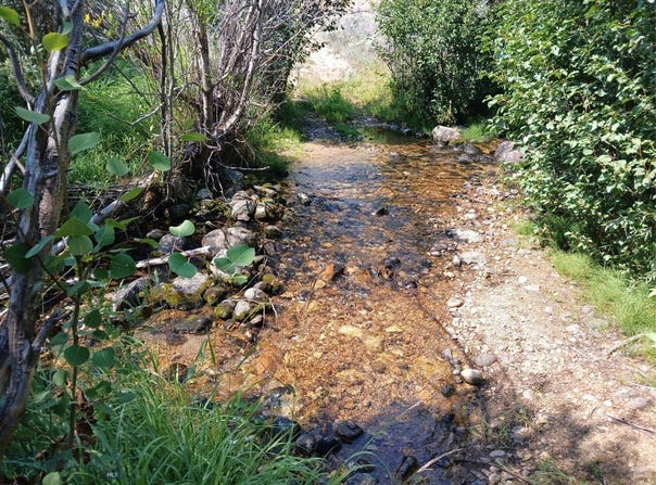 Rainey Mountain Road, Polaris, MT 59746
