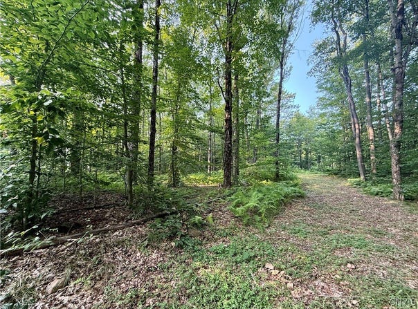 11470 River Road, Florence, NY 13316