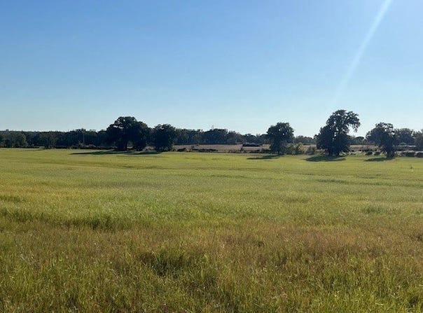 3733 Fm-52, Graford, TX 76449