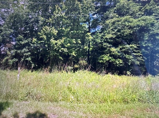 Tbd Joseph And Lemon Dingle Road, Manning, SC 29102