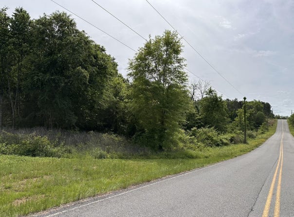 Panther Run Trail, Greenbrier, AR 72058