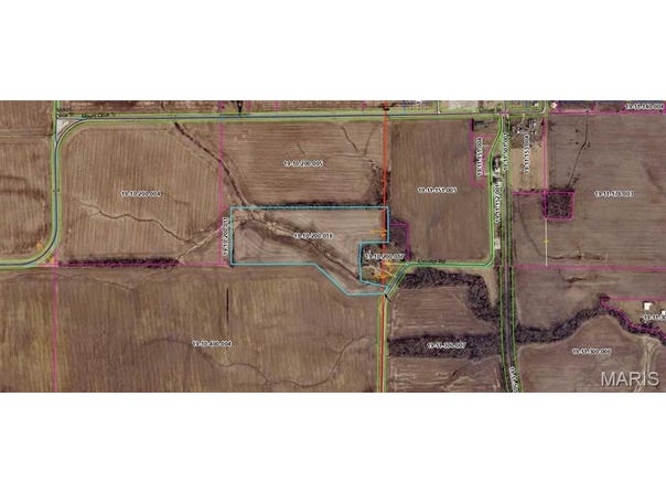 Xxx Elevator Road, Walshville, IL 62091