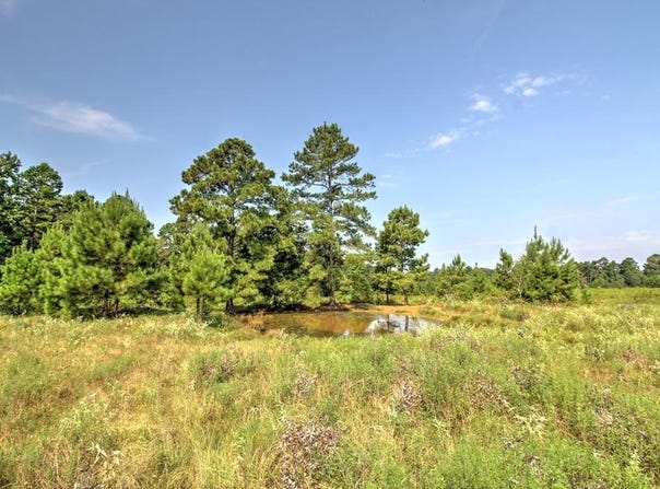 210 CR 2823, Alto, TX 75925