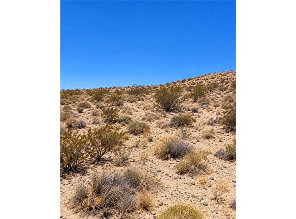 2 Mile, 29 Palms, CA 92277