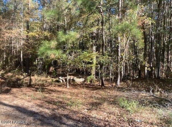 Landry Lane, Eunice, LA 70535
