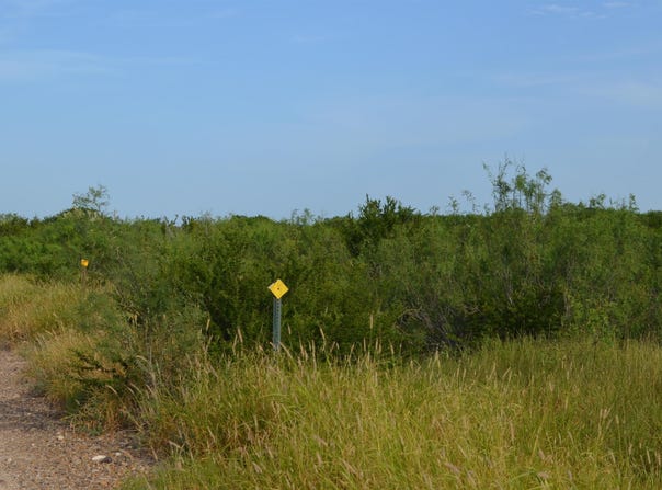 Los Centenarios lot: 91, Laredo, TX 78043