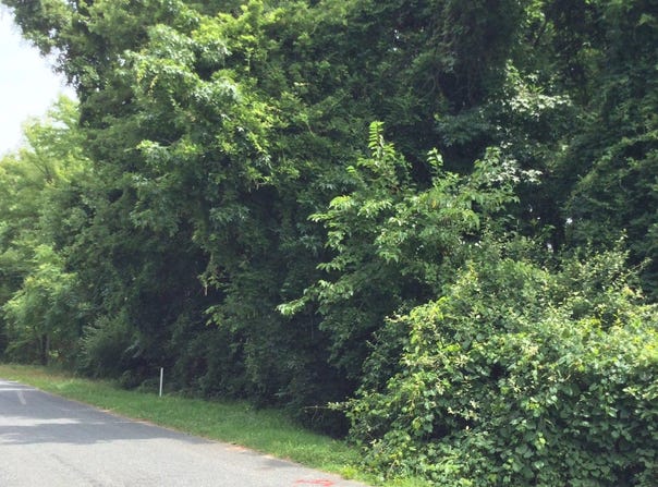 BALTIMORE DRIVE DR, STEVENSVILLE, MD 21666