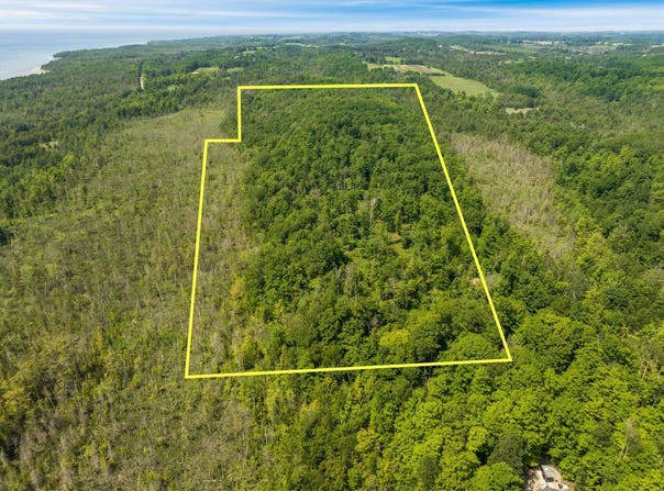 Tyrrell Beach Road, Ellsworth, MI 49729