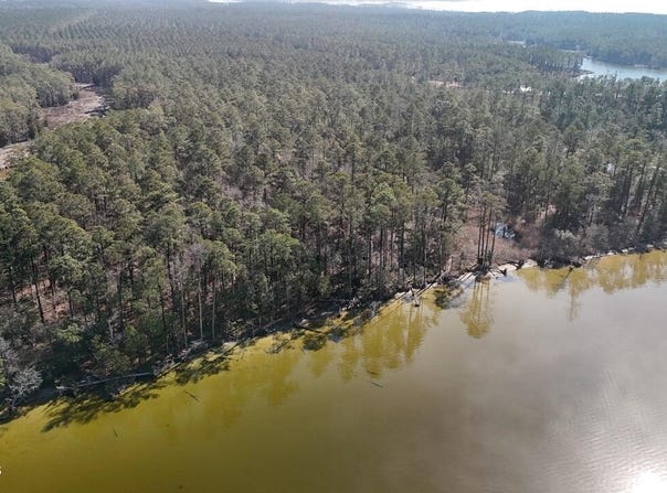 Sandy Point Road lot: 7, Sladesville, NC 27875