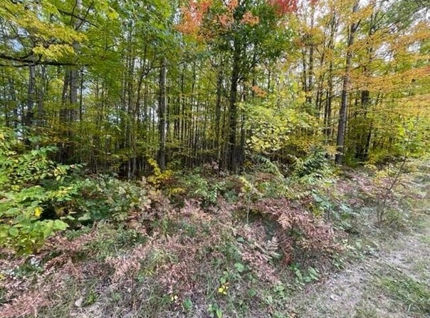 Fairway Drive lot: 10, Roscommon, MI 48653